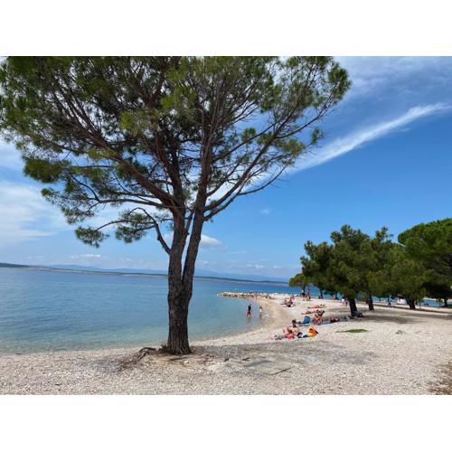 Family Apartments Vesna- 100 m Beach -Center Crikvenica