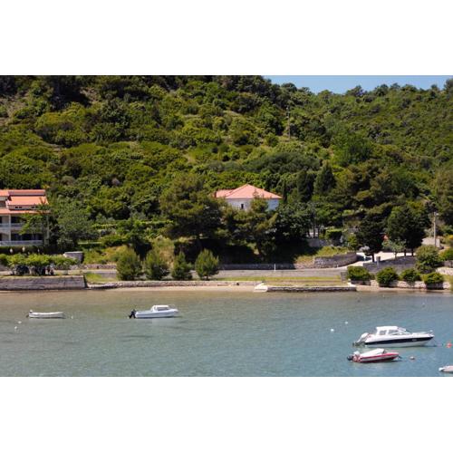 Family friendly seaside apartments Supetarska Draga - Donja, Rab - 2020
