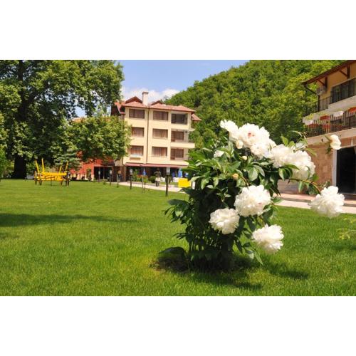 Family Hotel Delta