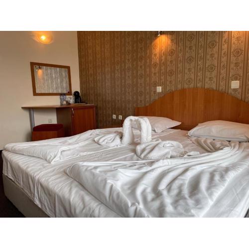 Family hotel Deykin