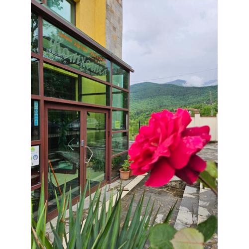 Family Hotel Komhotel