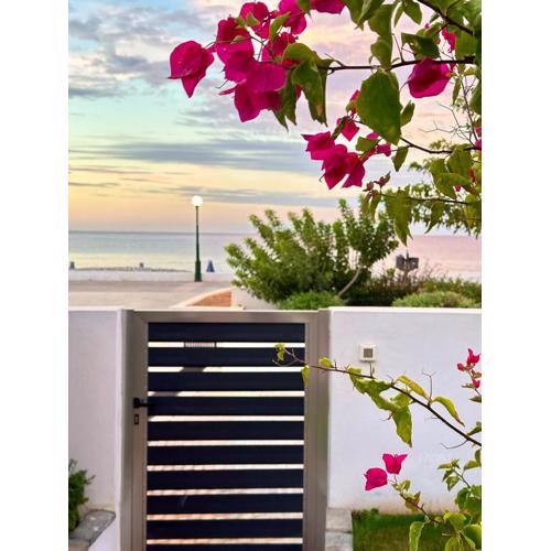Fantasea Beachfront Villa