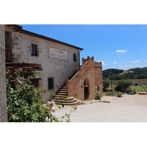Fattoria di Pieve Pagliaccia - Cantina Brugnoni