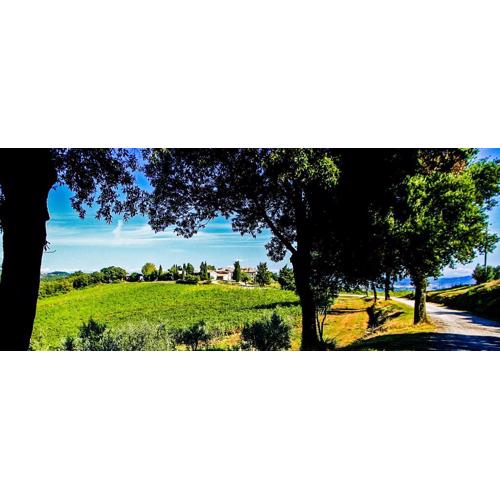 Fattoria La Torre