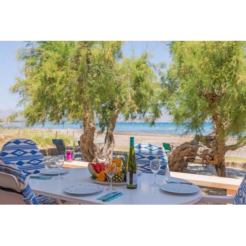 Ferienwohnung für 5 Personen ca 100 qm in Alcdia, Mallorca Nordküste von Mallorca