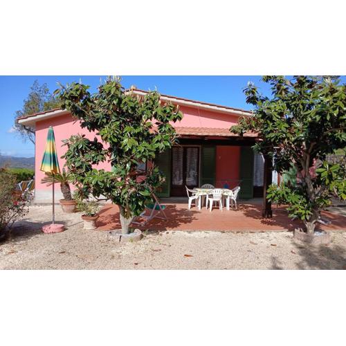 Ferienwohnung In Capoliveri Mit Schönem Garten