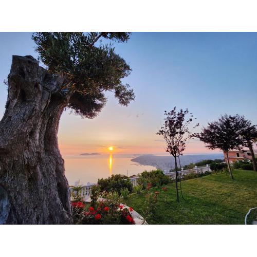 Festim Villa Hotel