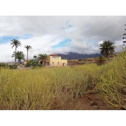 Finca Las Tapias, Casa Papín