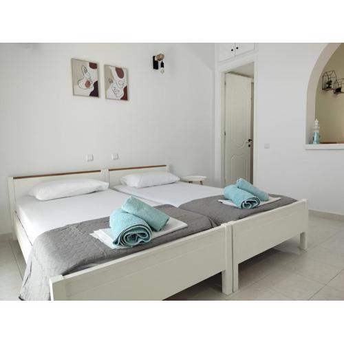 Fiorentina apartments