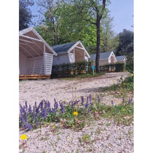 Fkk Adriatika in FKK Solaris Naturist Resort