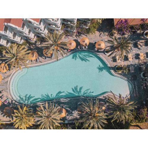 Flamingo Luxury-Pet Friendly