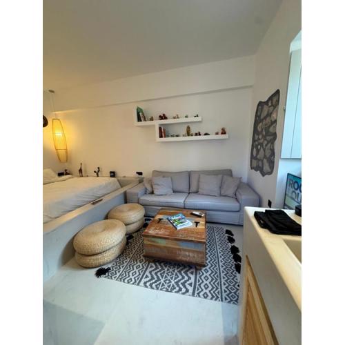 Flash house petite