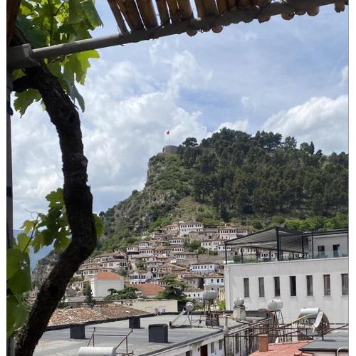 Flat in Berat\