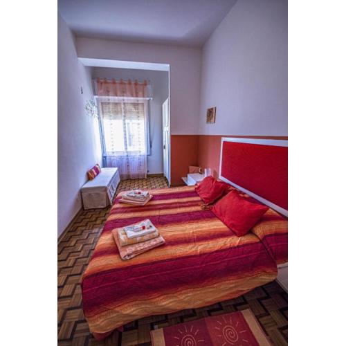 Flesia Home