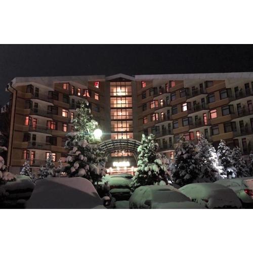 Flora Apartment 613
