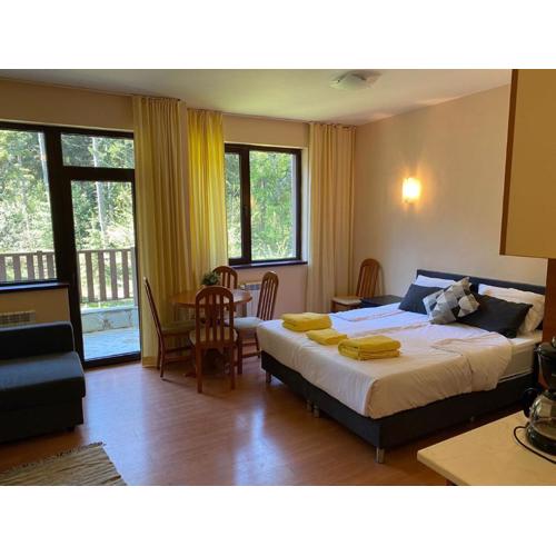 Flora Ski-slope Studio Apartment