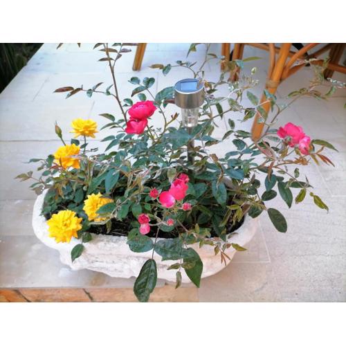 flower garden apartment