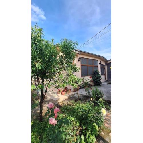 Flower House Shkodra