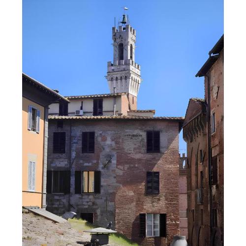 Fly to Home Siena