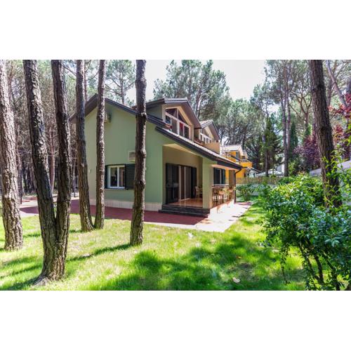 Forest Cottage - middle of forest & near the beach