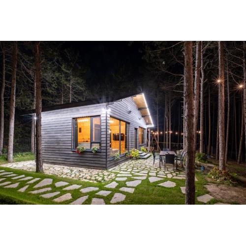 Forest House Vi