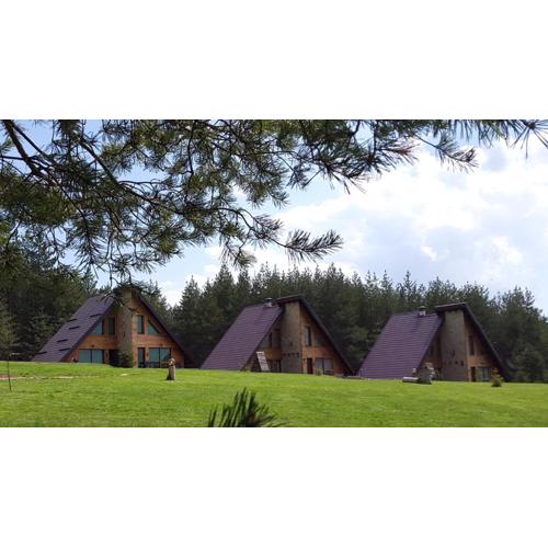 Forest Houses,Форест Хаусис