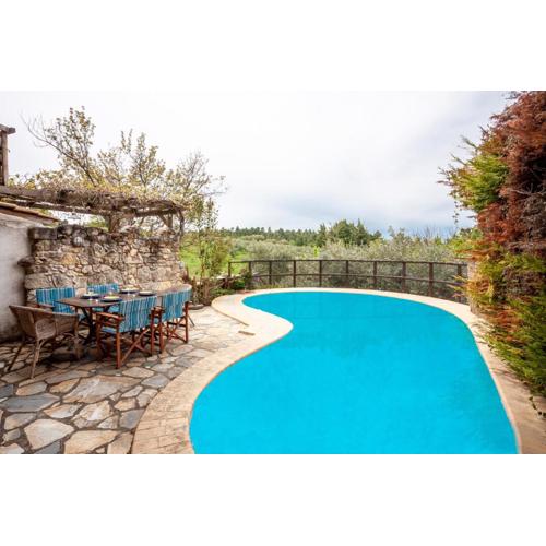Forest stone Villa with pool