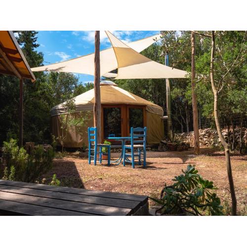 Forest Yurt