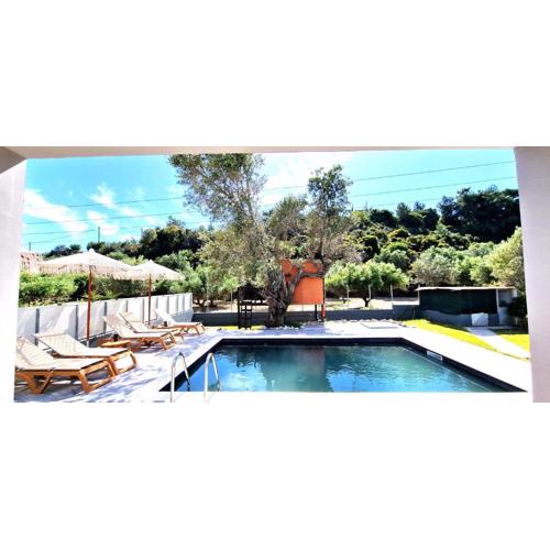 Fountain pool villa