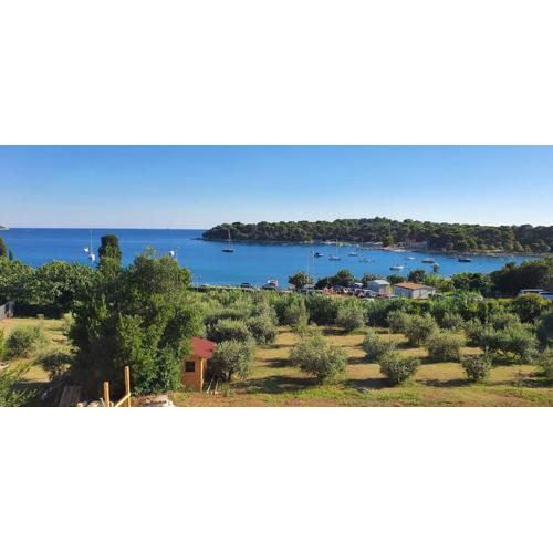 Fragrances of Istria - The Olives - on the sea of Stoia