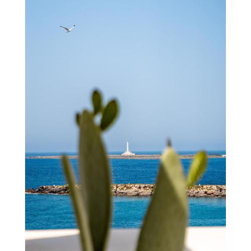 Fronte Mare Casa Daspa