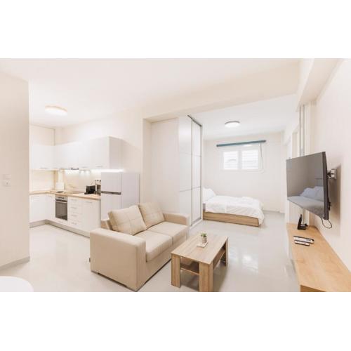 Fully renovated luxurious semi-basement studio
