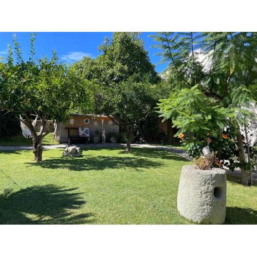 Garden apartments Ischia super centrale