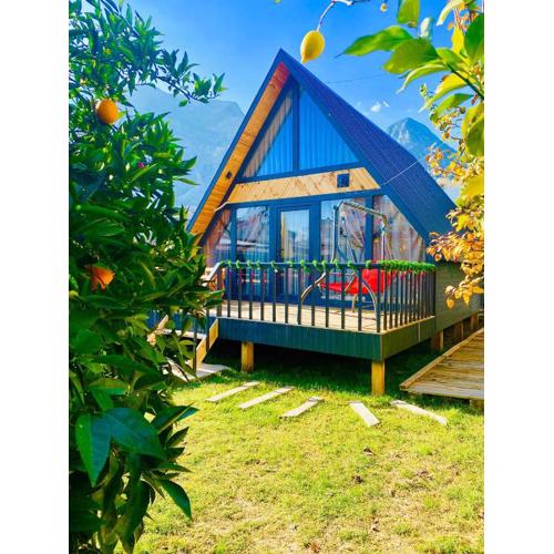 Garden Bungalow