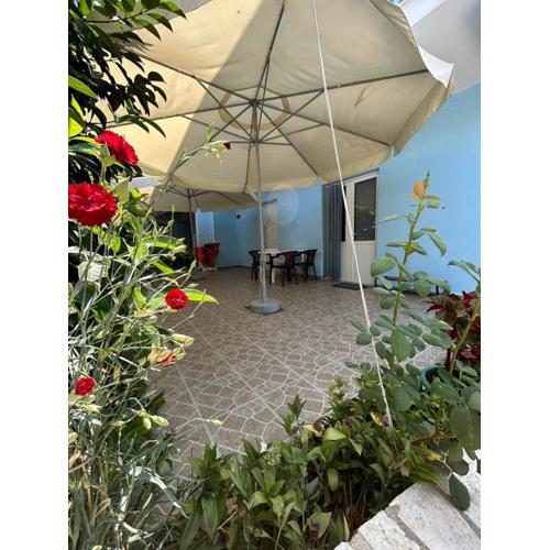 Garden Holiday Studios