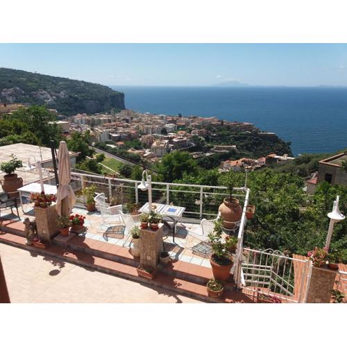 Garden on the Sea