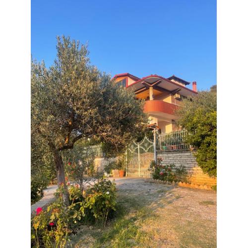 Georgemishel Guest House