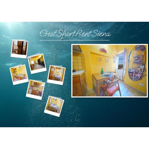Gest Short Rent Siena 1