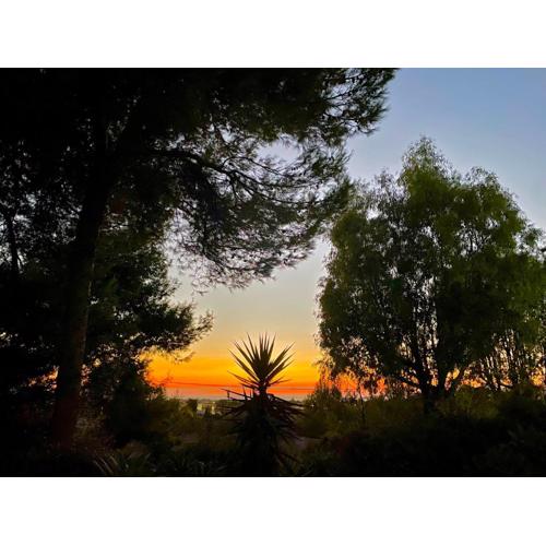 Giardinello Stagnone Sunset