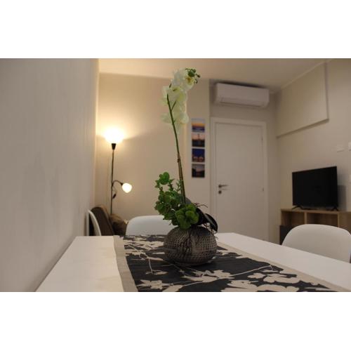 Ginestre Home Senigallia