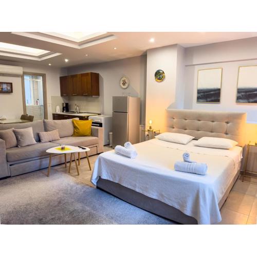 Glamorous & Spacious Renovated Apartment, Syntagma, DT Athens