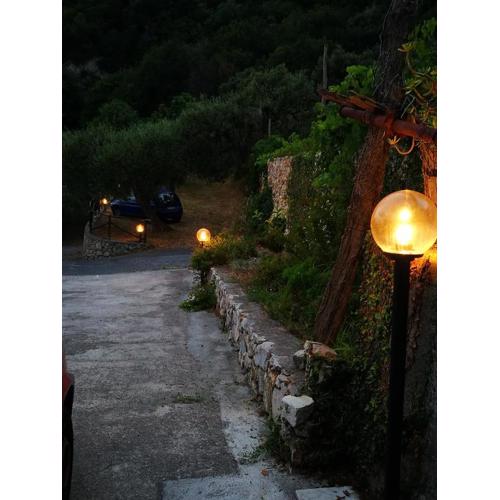 Gli ulivi della Monda