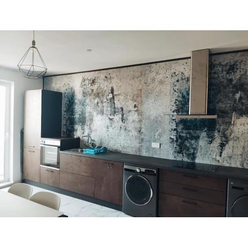 Go Exchange, Block D, Apt 8