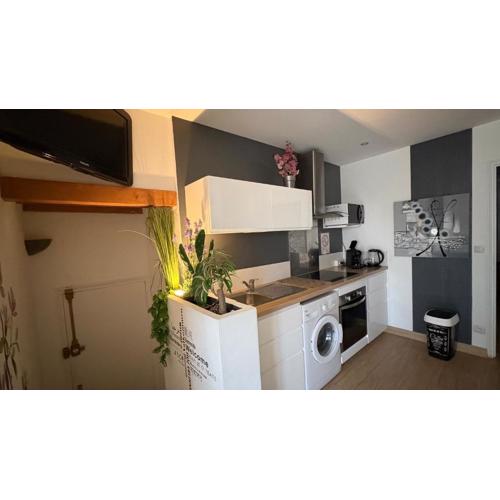 Goeland 1, classé, climatisé, wifi terrasse ombragé de 12 m2 à 150 m de la plage