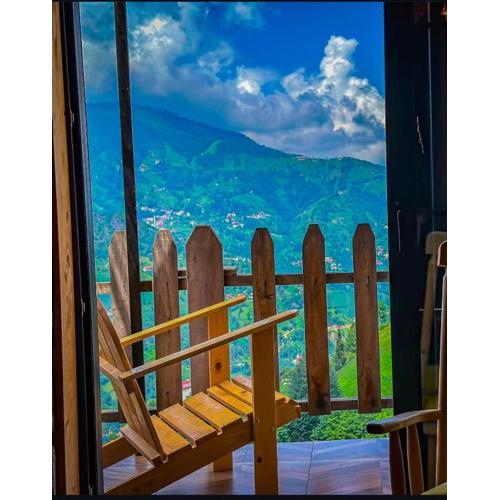 Golden Paws Guesthouse