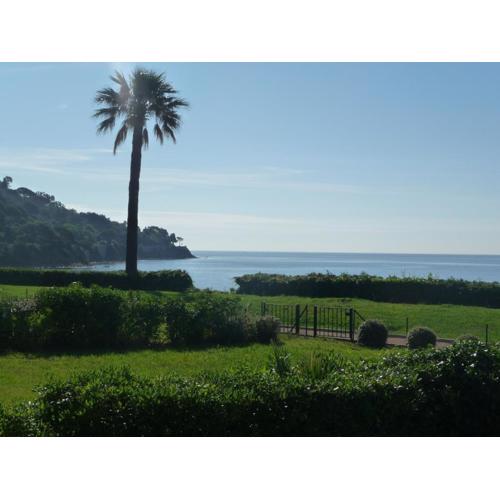 Grand Azur Etoile Marine