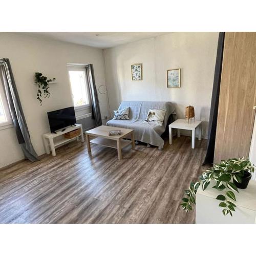 Grand Studio à 100m des plages