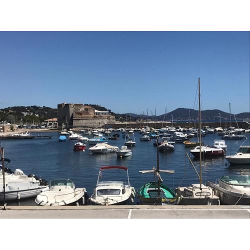 Grand T2 43m2 plages du Mourillon