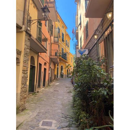 Grazioso appartamento a Monterosso