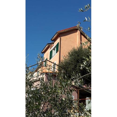 Grazioso appartamento nel verde